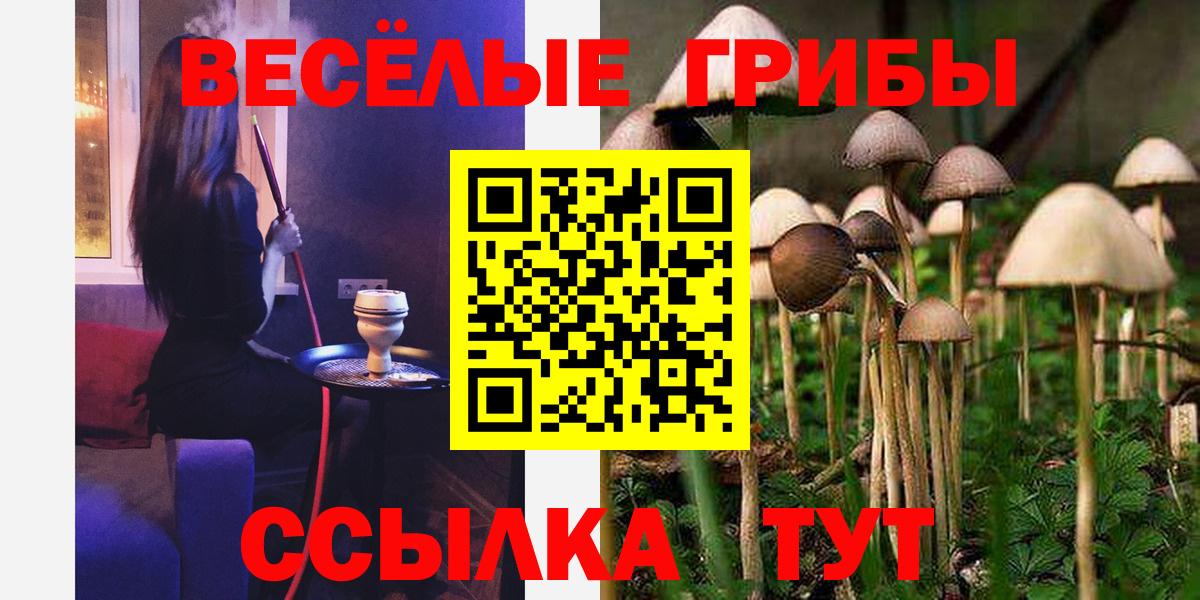 Псилоцибиновые грибы GOLDEN TEACHER  Вход с VPN  Воскресенск 