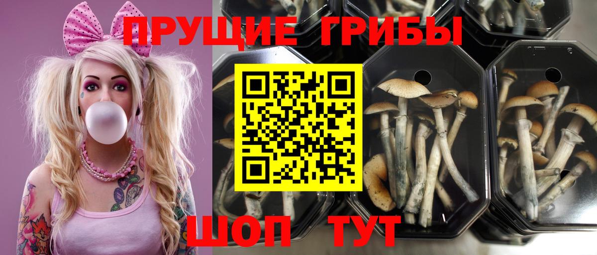 Меф МЯУ МЯУ кристаллы  Воскресенск  Вход с VPN  Cocaine  A-PVP СК кристаллы  Гашиш  Кокаин 